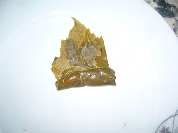 Gefüllte Weinblätter, Auberginen und Paprika - Zeytinyağlı Sarma