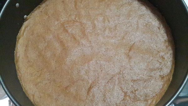 Cheesecake mit Erdbeeren - Çilekli Cheesecake