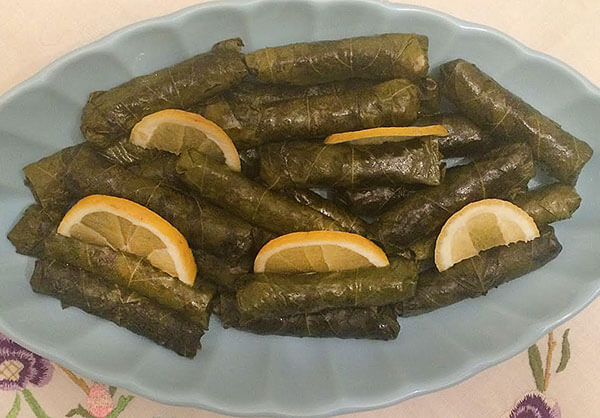Gefüllte Weinblätter mit Olivenöl - Zeytinyağlı Sarma